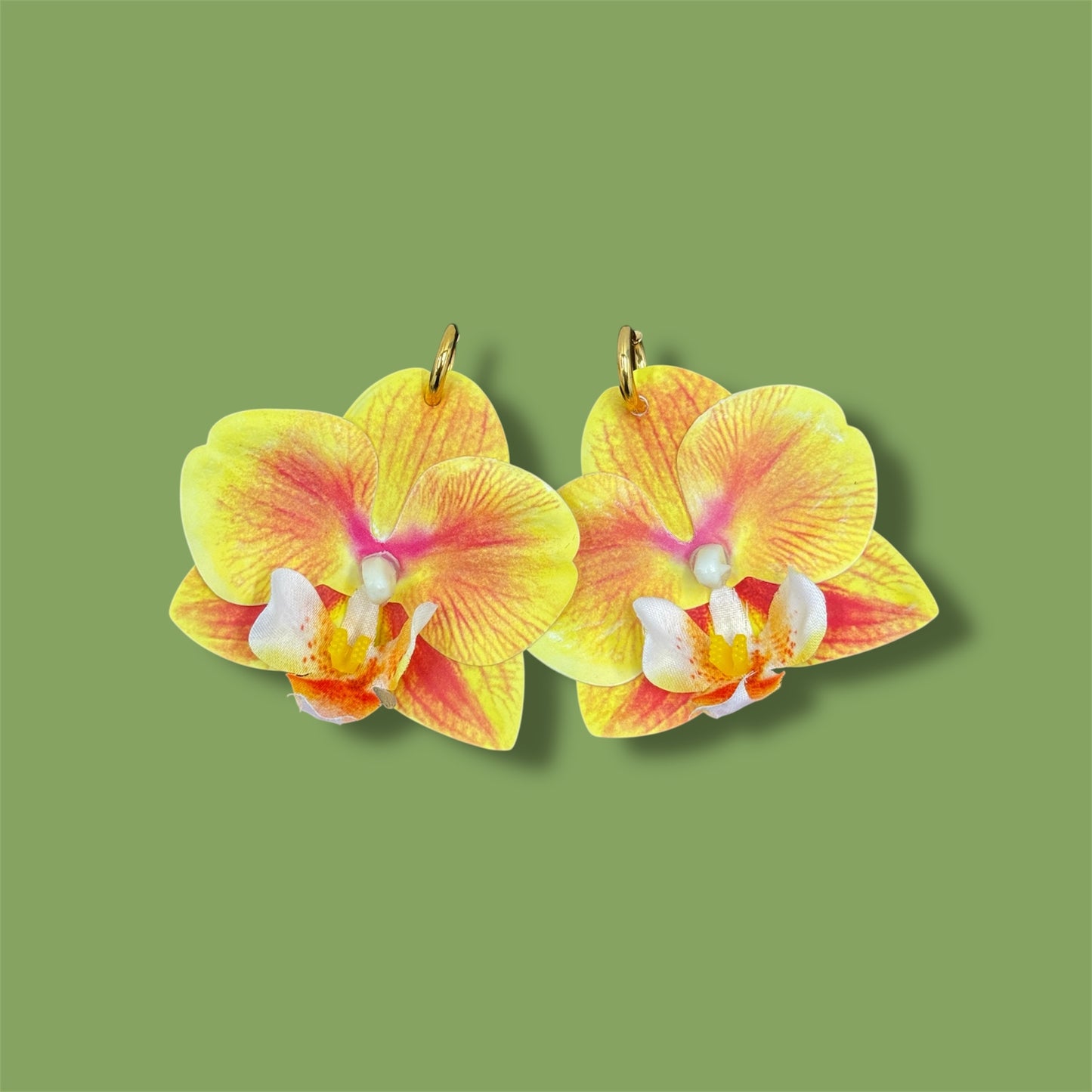 Yellow Orchids