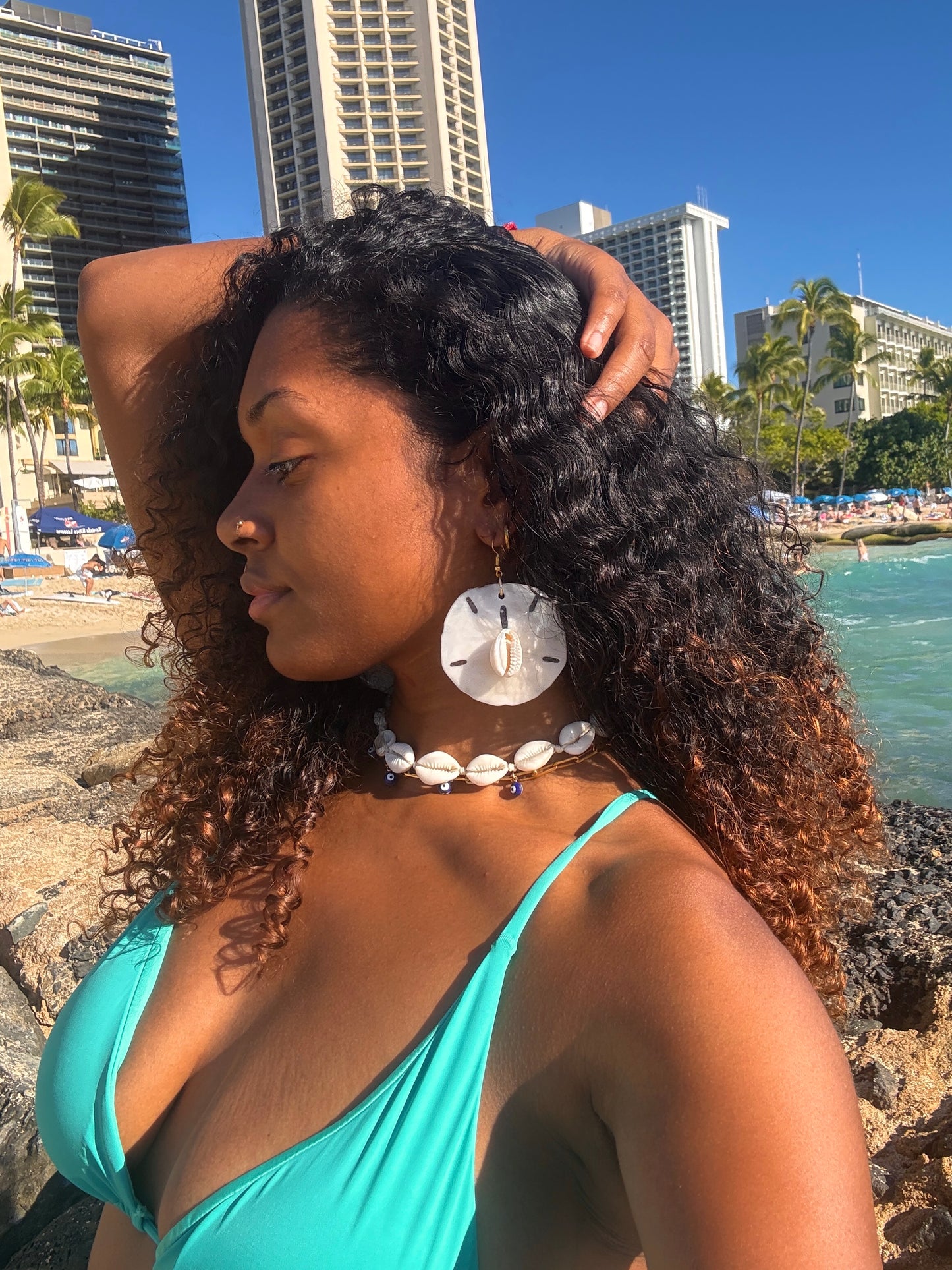 Seashell by the Seashore