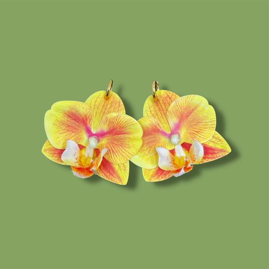 Yellow Orchids