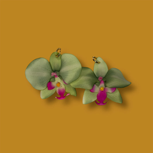Green Orchids