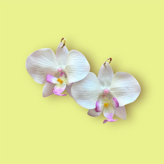 White Orchids